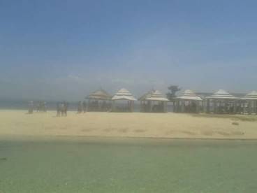 pandanon_01